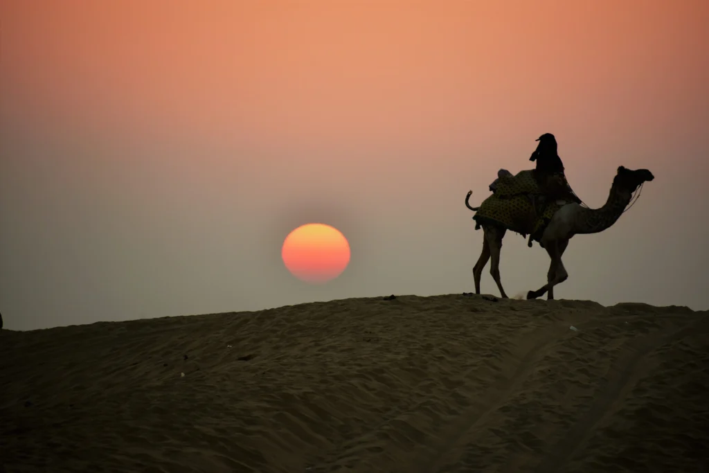 Camel Riding Sunset Jaisalmer Rajasthan India