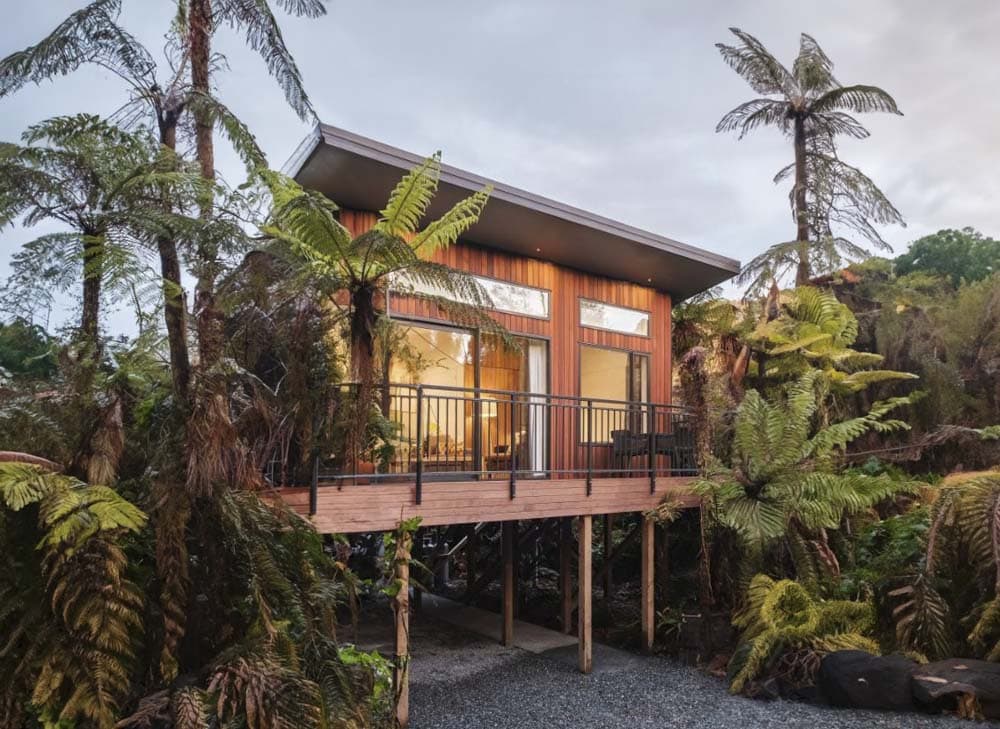Rainforest retreat glamping