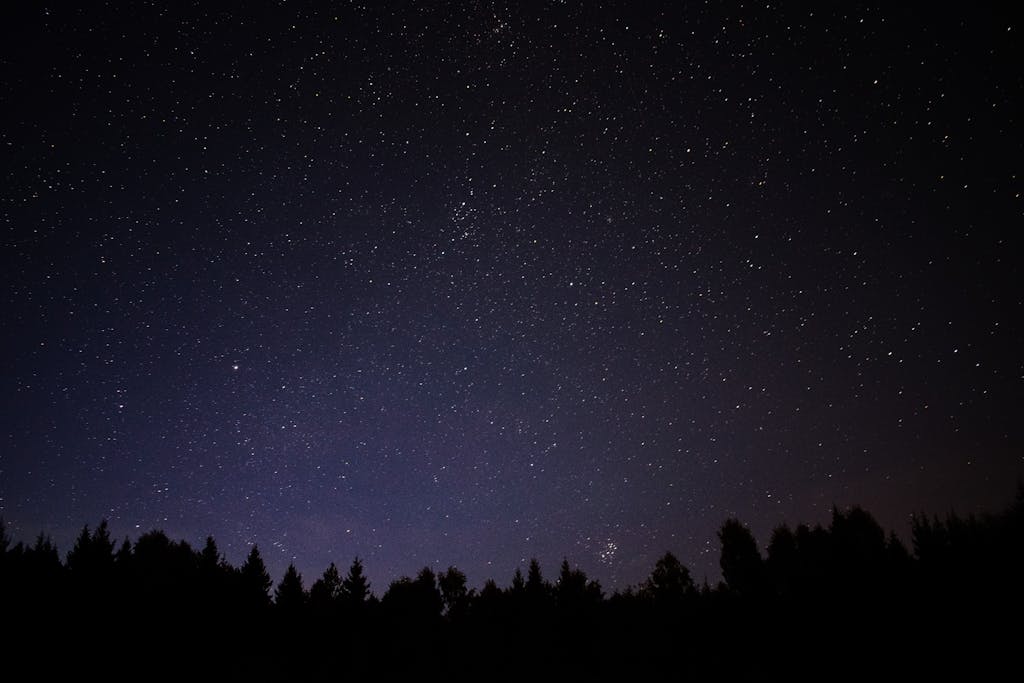 Silhouette of Trees Under Starry Night