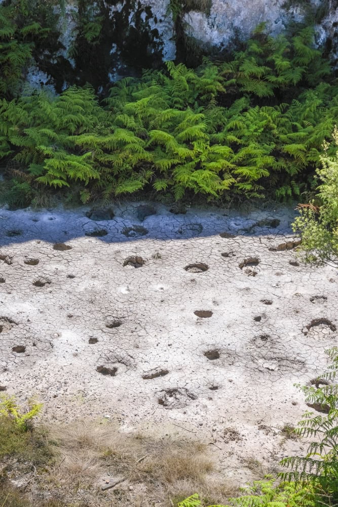 Craters of the moon taupo - mud pools