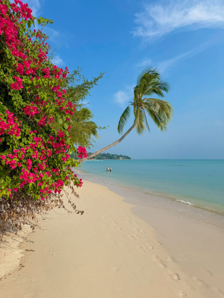 Koh Samui Lamai Beach