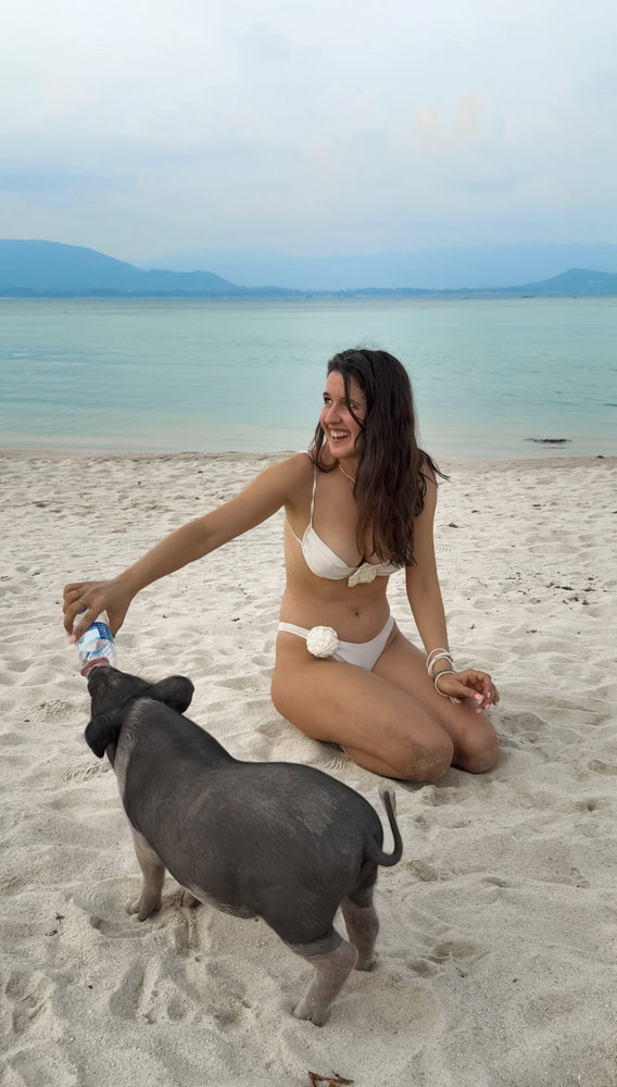 Pig Island Koh Samui Thailand